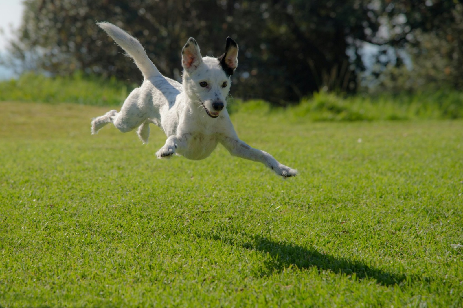 Ron fung VQJXJ4 Ia U o unsplash