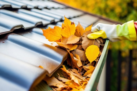 Dakgoot schoonmaken Adobe Stock 642887129