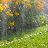 Gardena sproeislangen